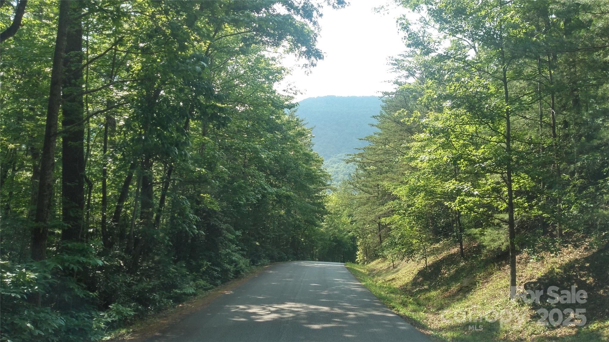Lot 17 Deer Ridge Trail Marion NC 28752