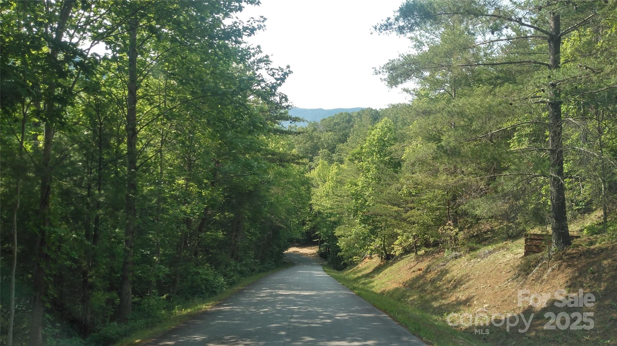 Lot 17 Deer Ridge Trail Marion NC 28752