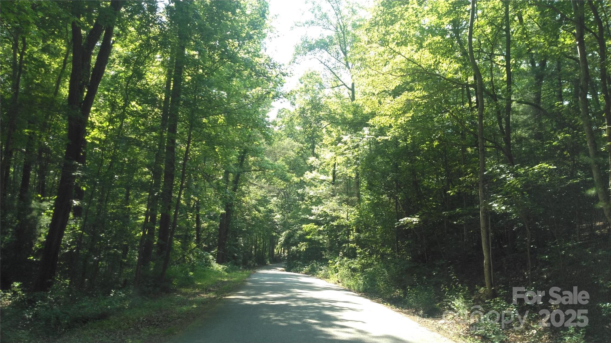 Lot 17 Deer Ridge Trail Marion NC 28752