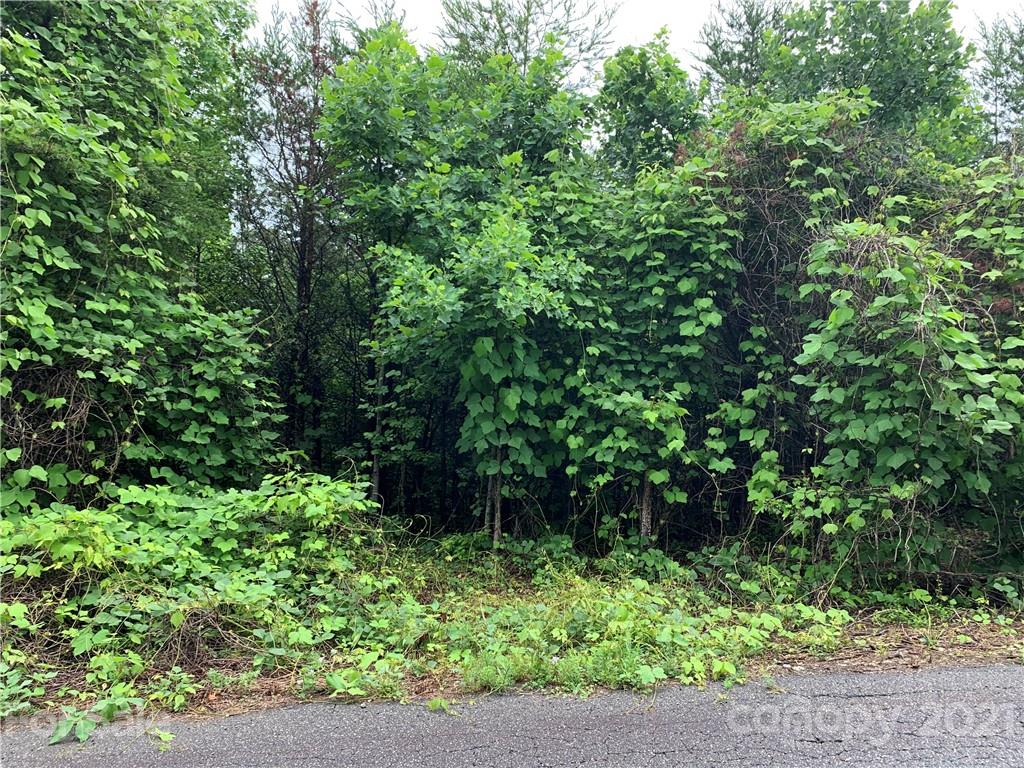 3004 Conner Circle Morganton NC 28655