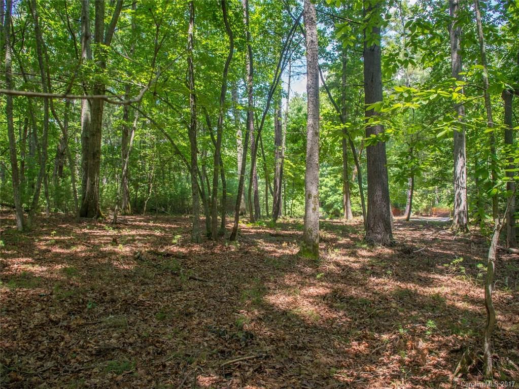 100 Mirehouse Run Asheville NC 28803