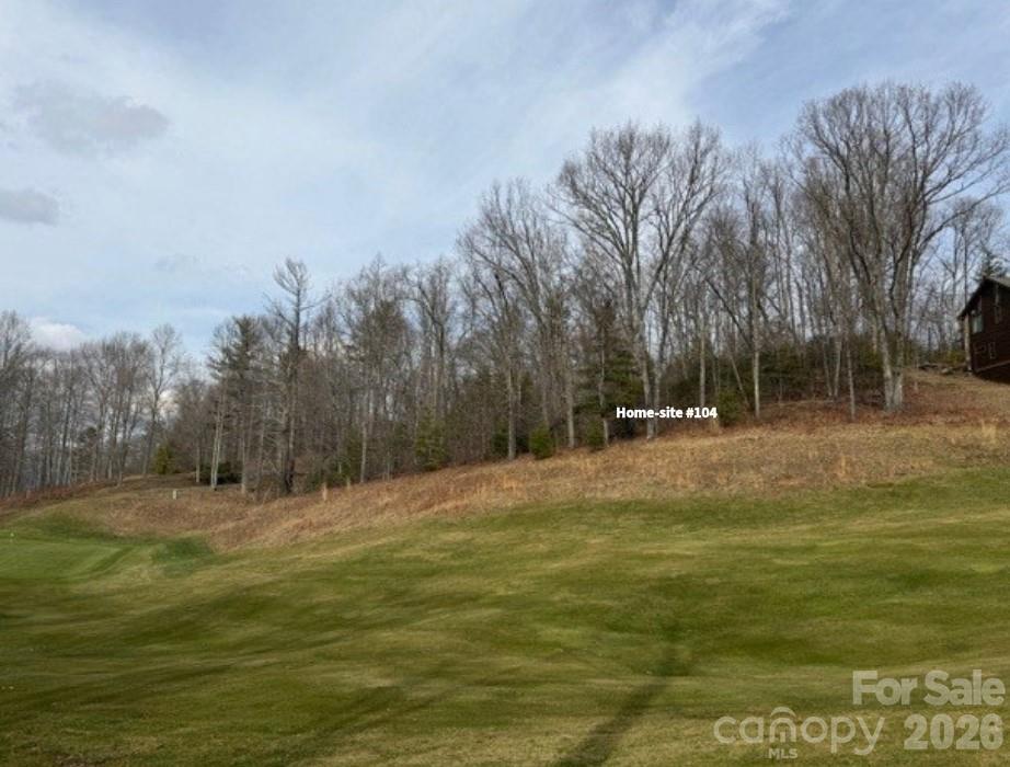 104 Smokehouse Way Burnsville NC 28714