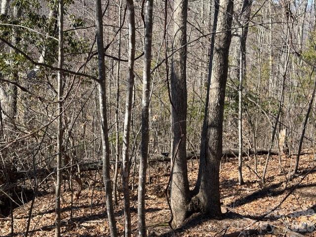 104 Smokehouse Way Burnsville NC 28714