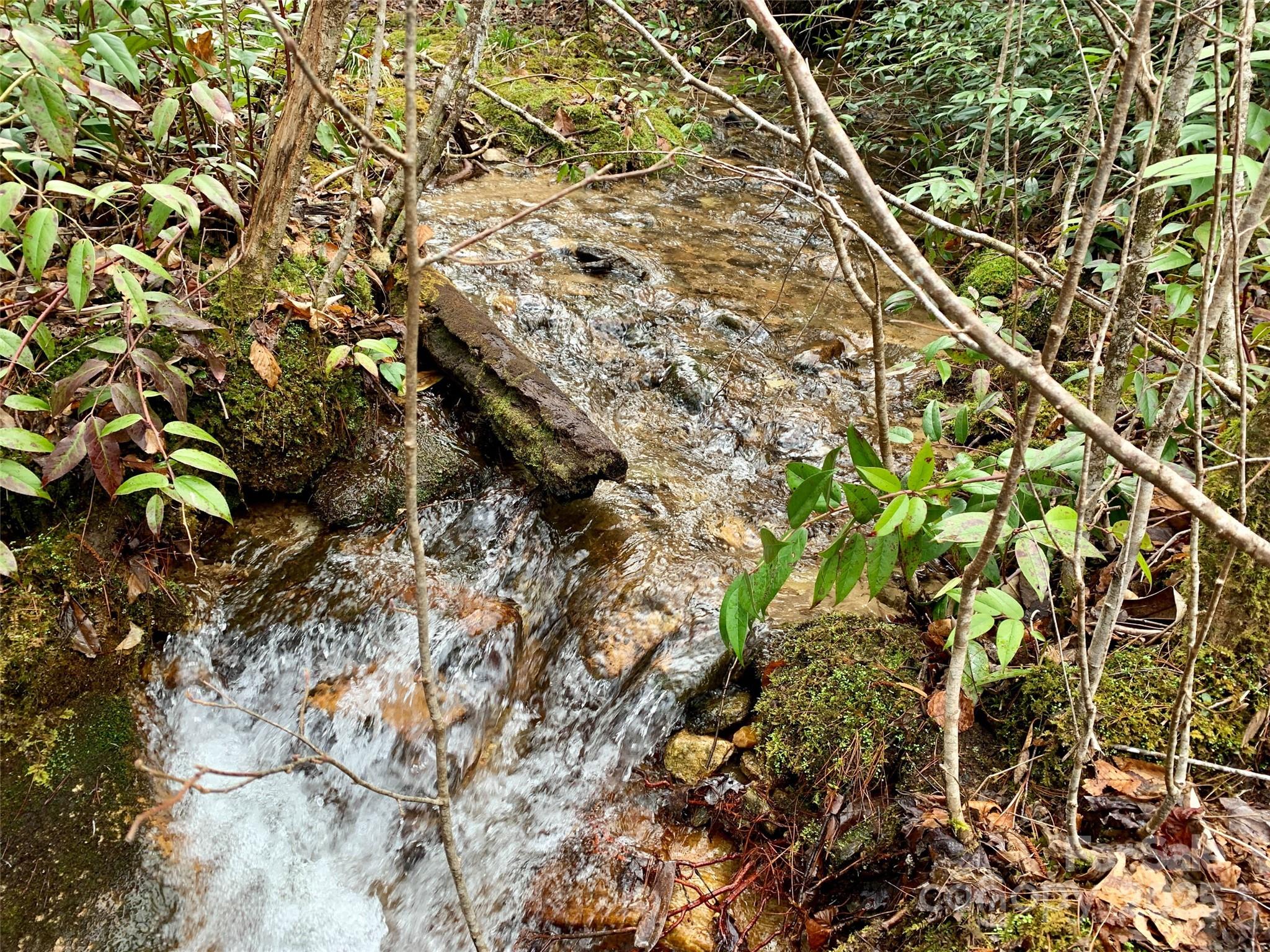 Lot 64 Peppervine Circle Rosman NC 28772