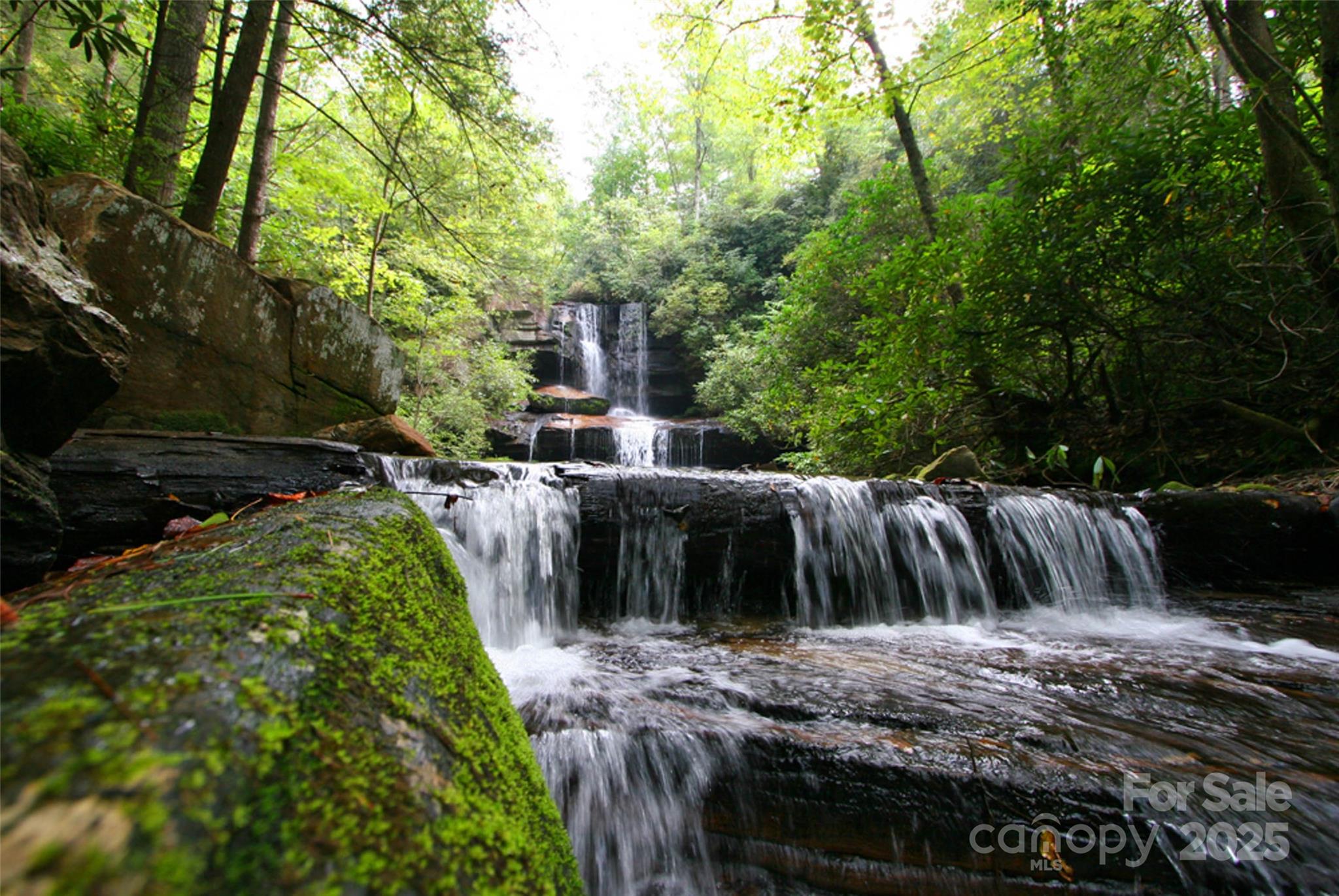Lot 64 Peppervine Circle Rosman NC 28772