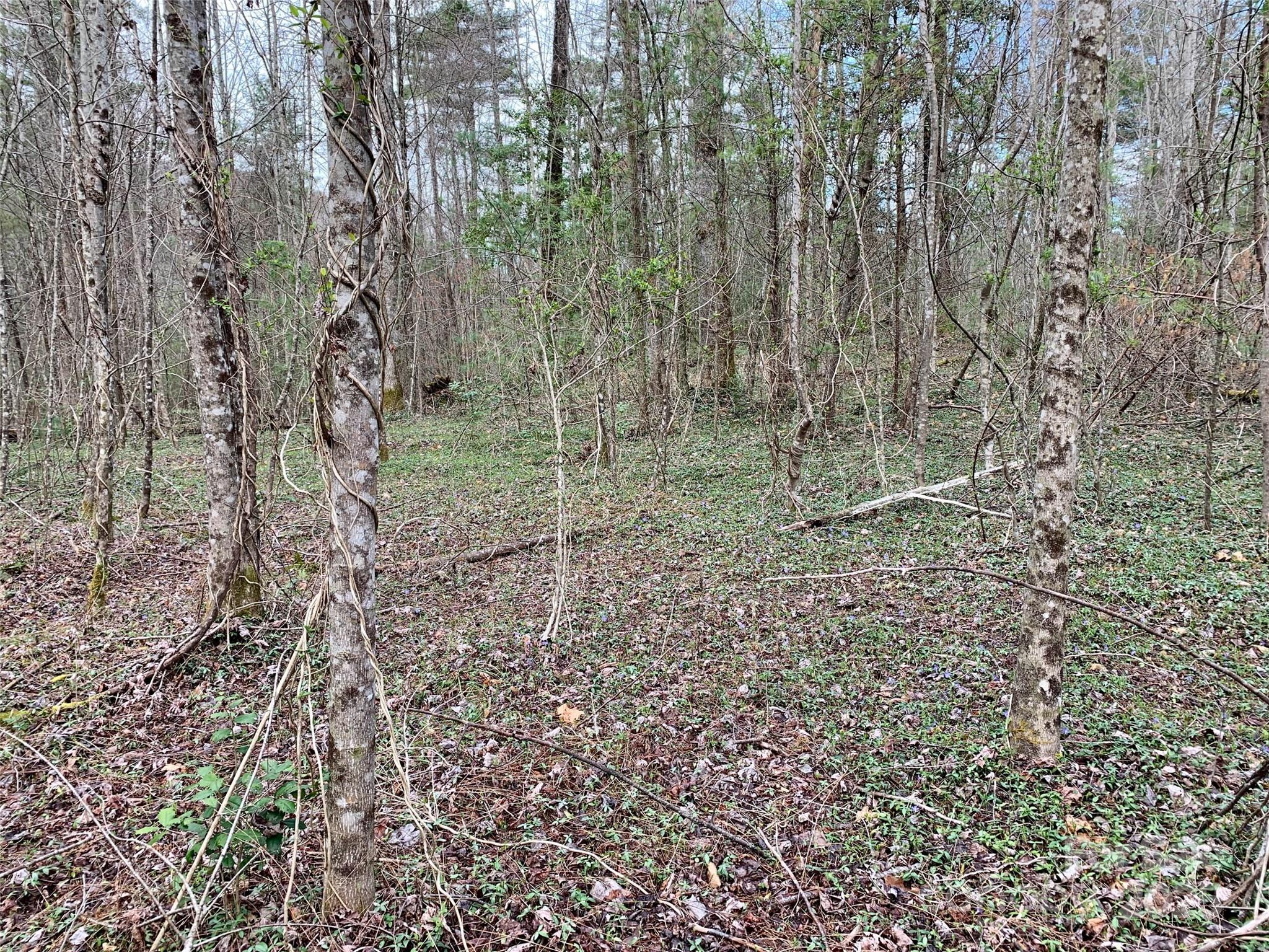 Lot 64 Peppervine Circle Rosman NC 28772