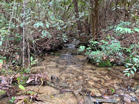 Lot 64 Peppervine Circle Rosman NC 28772