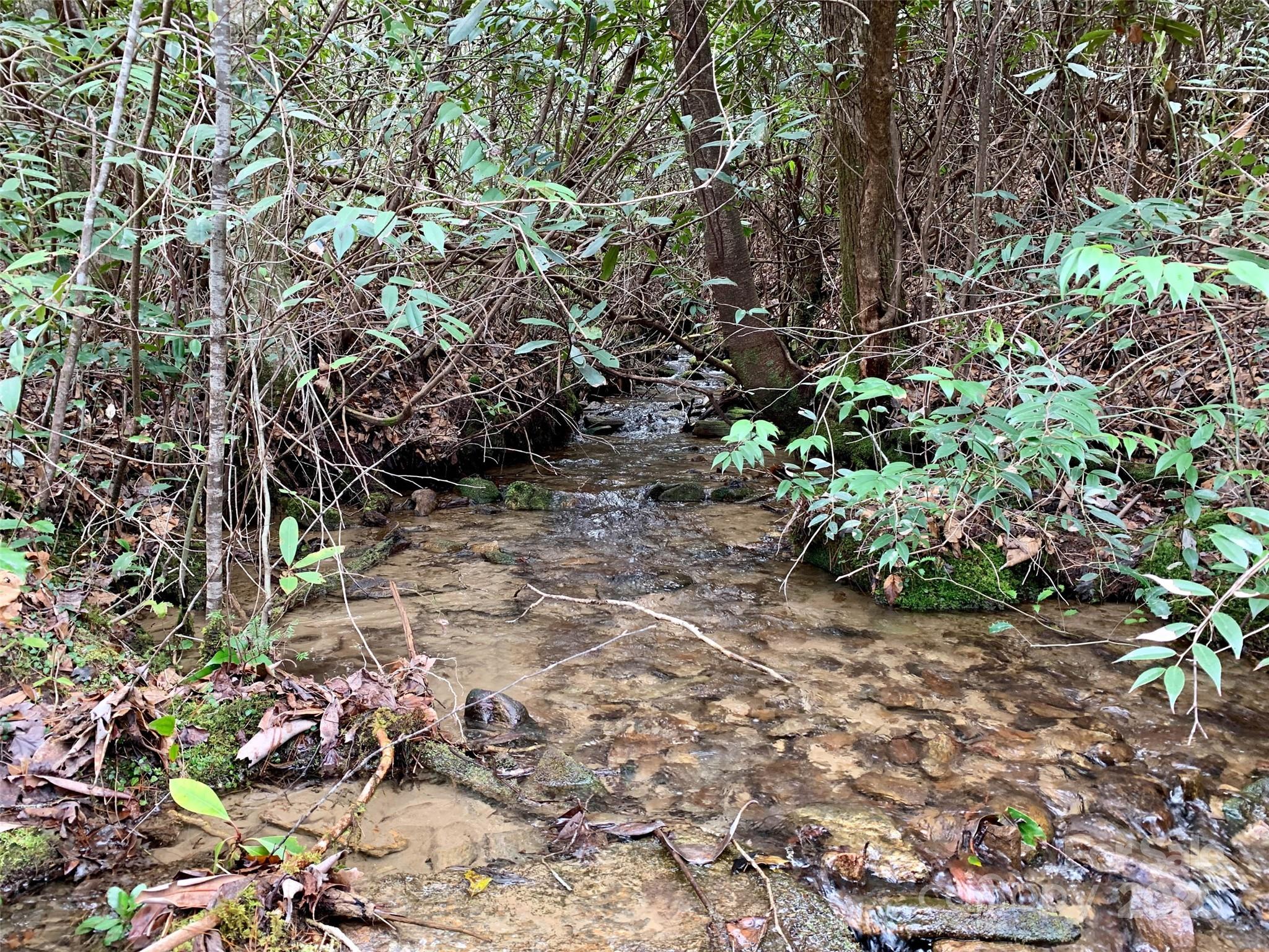 Lot 64 Peppervine Circle Rosman NC 28772