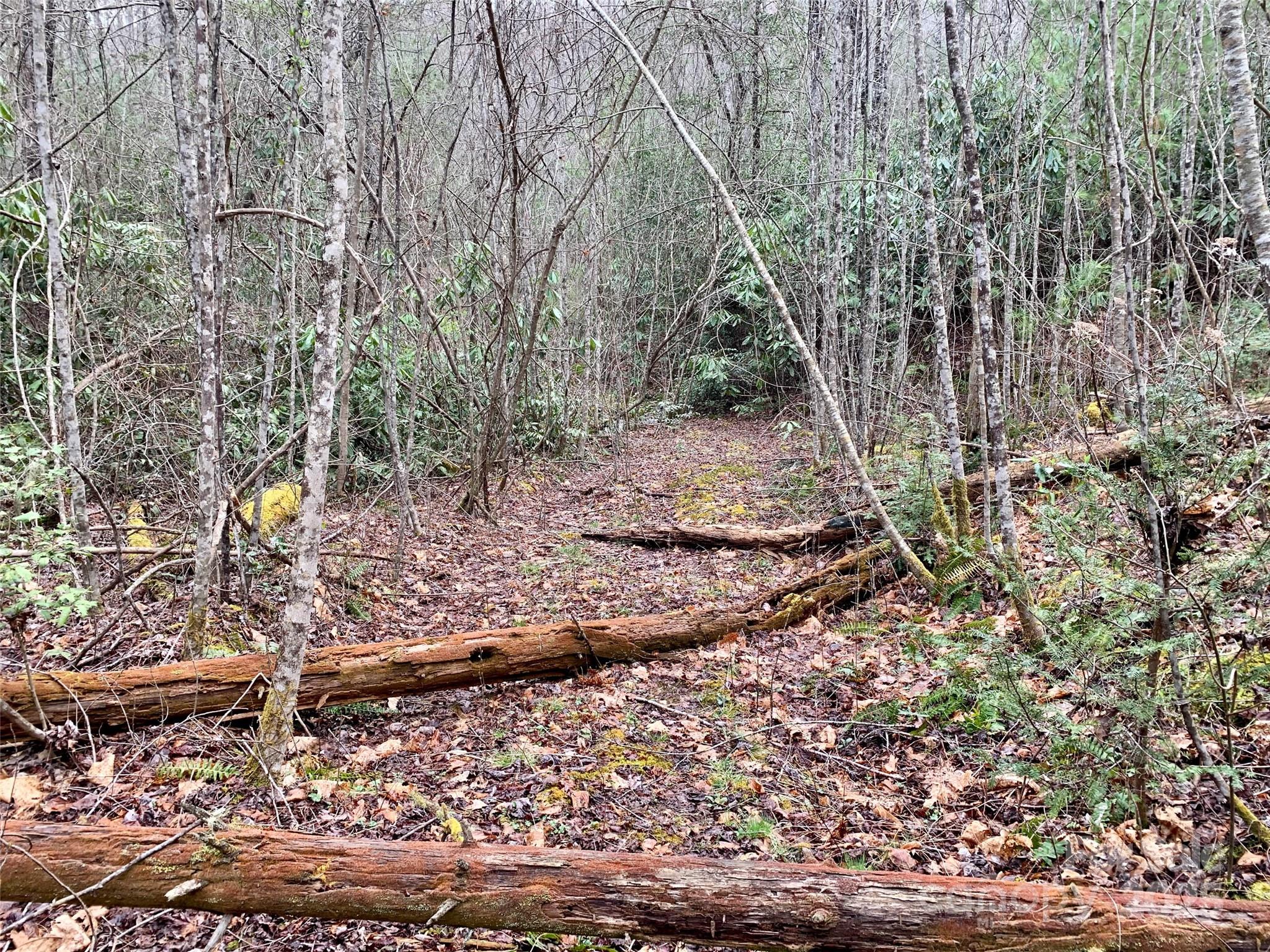 Lot 64 Peppervine Circle Rosman NC 28772
