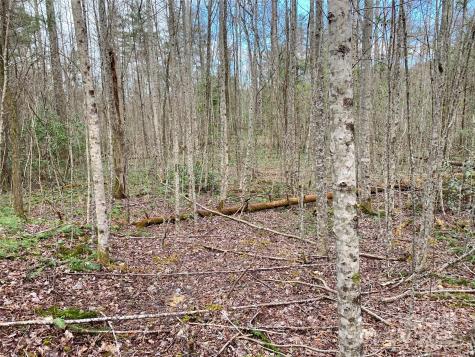 Lot 64 Peppervine Circle Rosman NC 28772