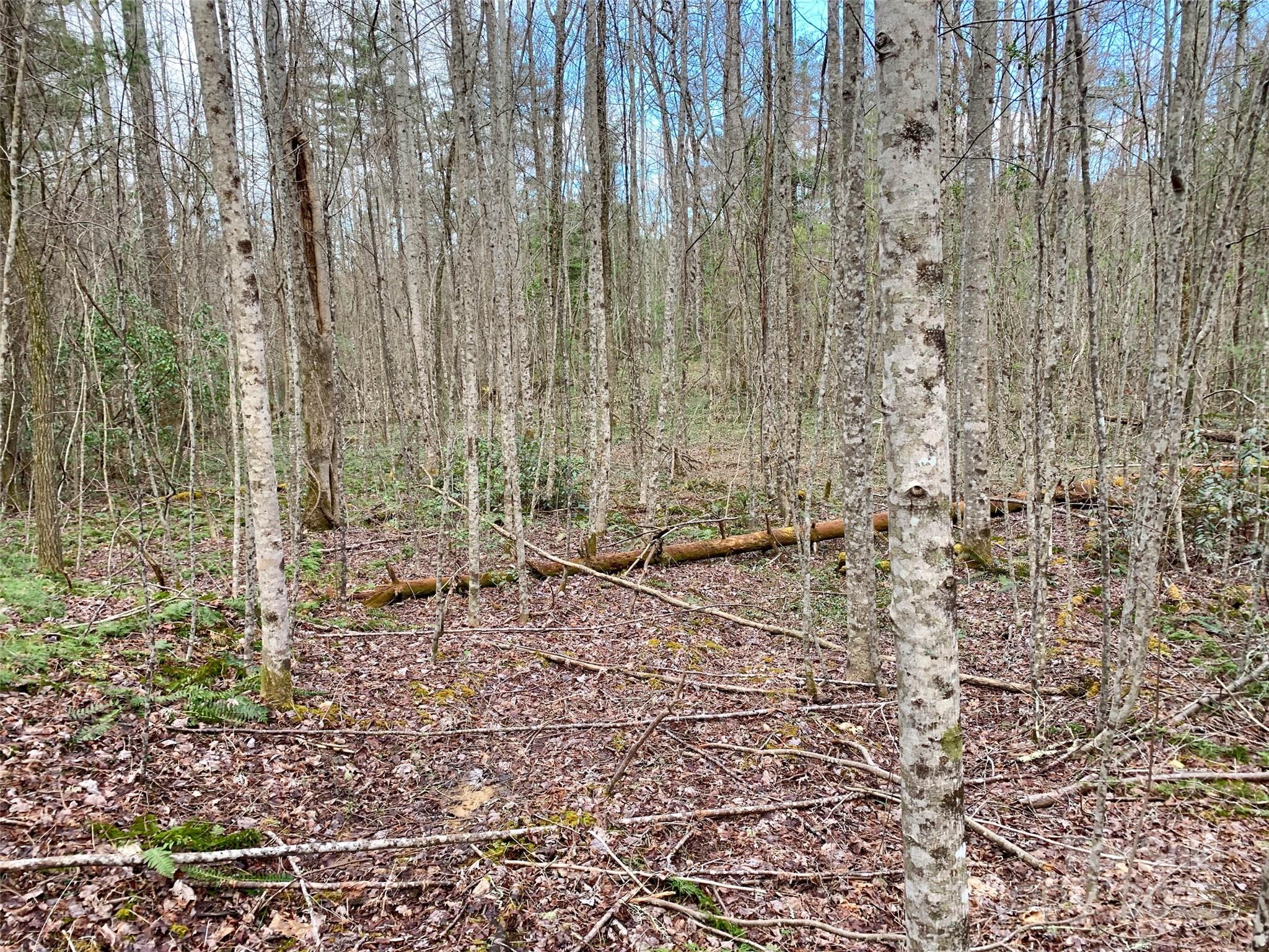 Lot 64 Peppervine Circle Rosman NC 28772