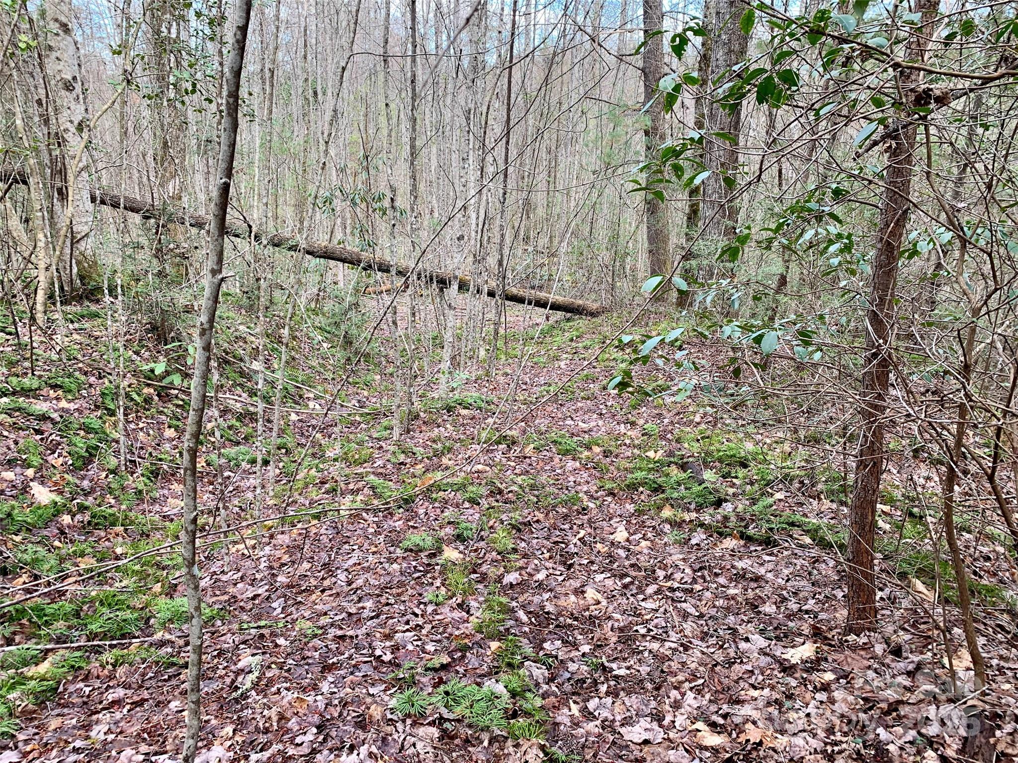Lot 64 Peppervine Circle Rosman NC 28772