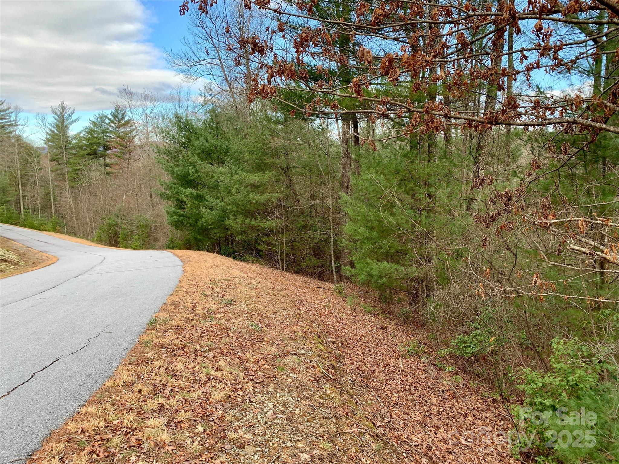 Lot 64 Peppervine Circle Rosman NC 28772