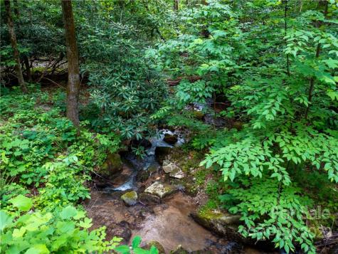 Lot 2072 Anthony Court Mill Spring NC 28756