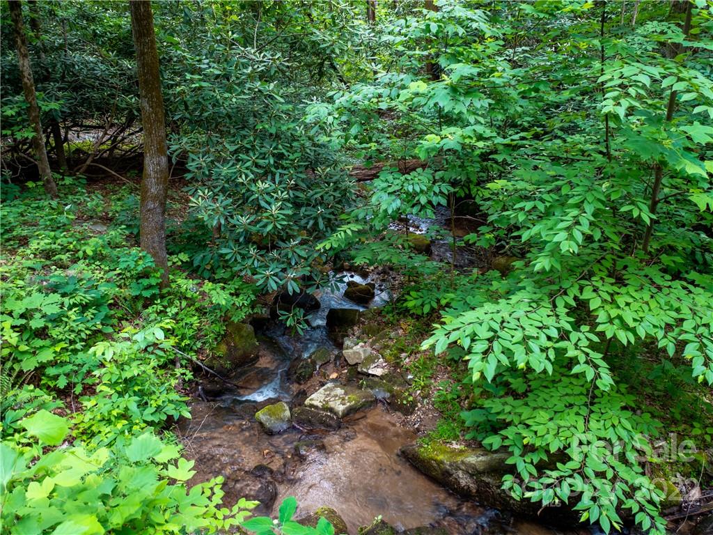 Lot 2072 Anthony Court Mill Spring NC 28756