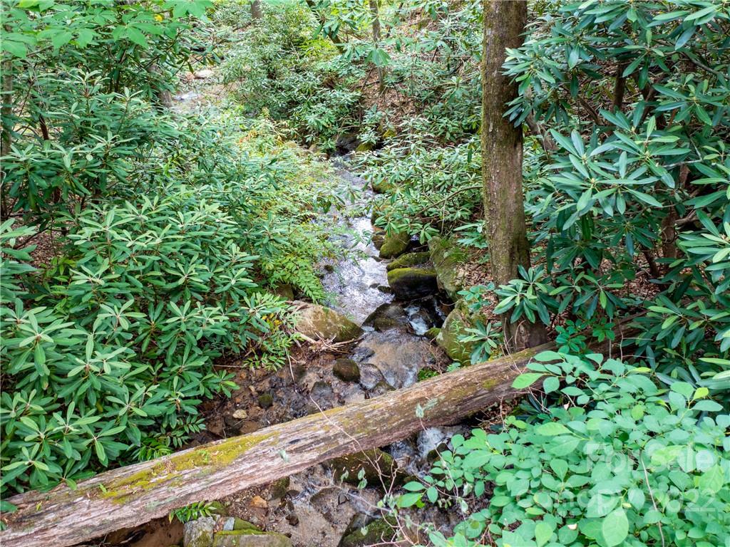 Lot 2072 Anthony Court Mill Spring NC 28756