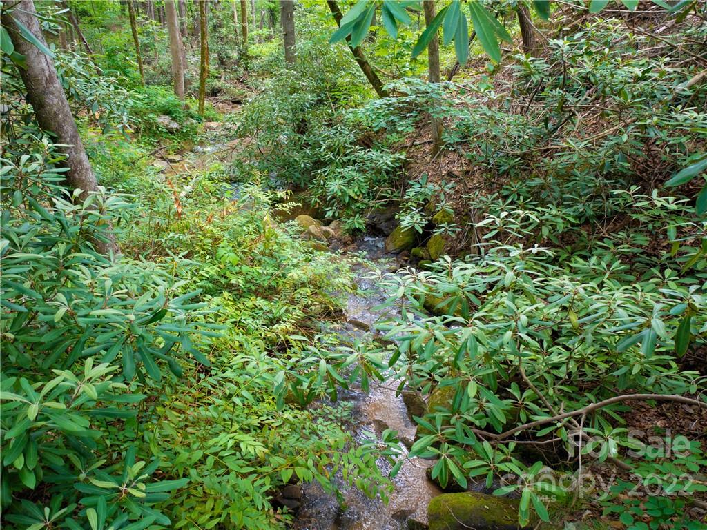 Lot 2072 Anthony Court Mill Spring NC 28756