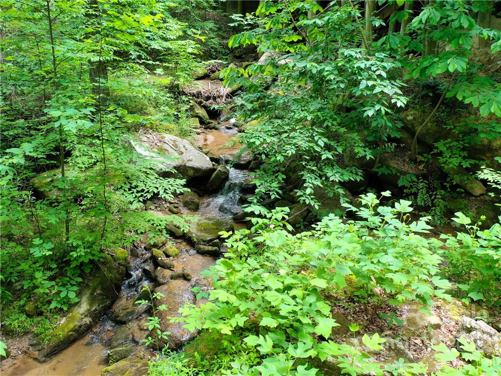 Lot 2072 Anthony Court Mill Spring NC 28756