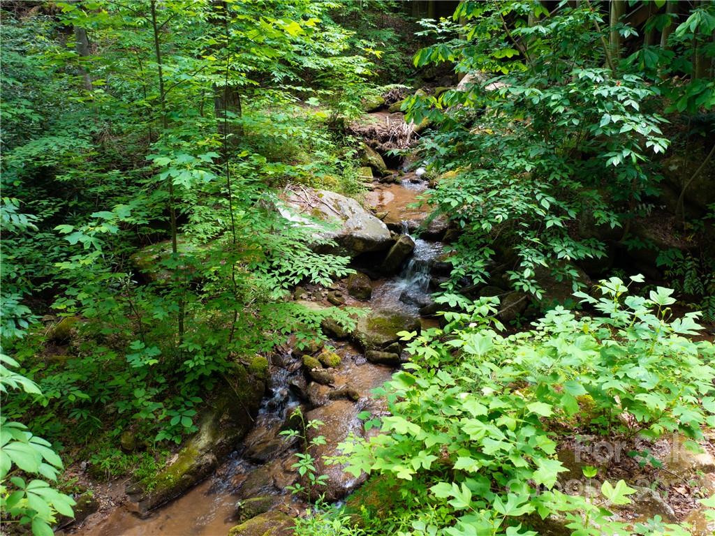 Lot 2072 Anthony Court Mill Spring NC 28756