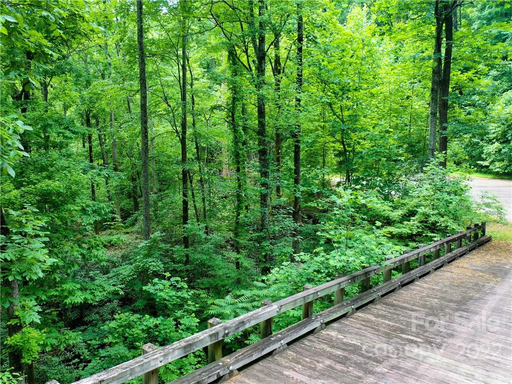 Lot 2072 Anthony Court Mill Spring NC 28756