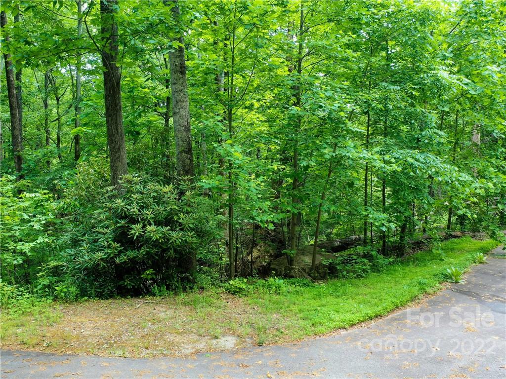 Lot 2072 Anthony Court Mill Spring NC 28756