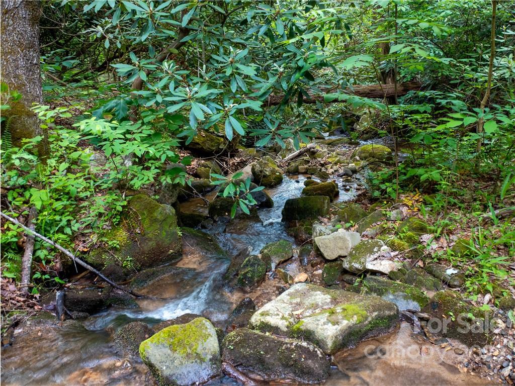Lot 2072 Anthony Court Mill Spring NC 28756