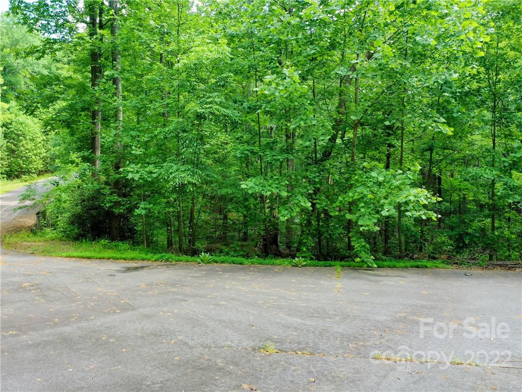 Lot 2072 Anthony Court Mill Spring NC 28756
