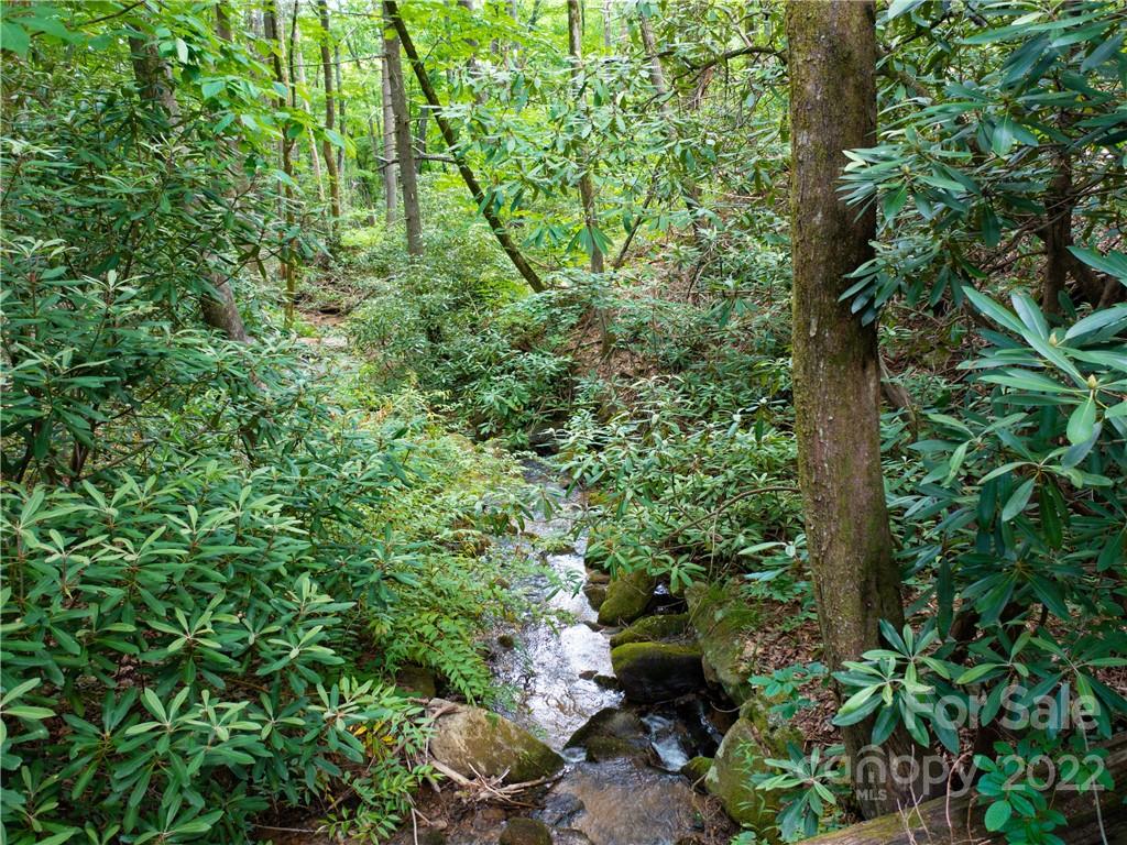 Lot 2072 Anthony Court Mill Spring NC 28756