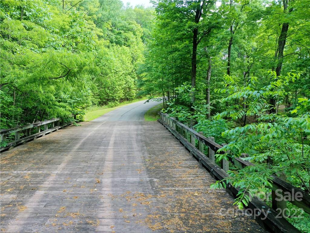 Lot 2072 Anthony Court Mill Spring NC 28756