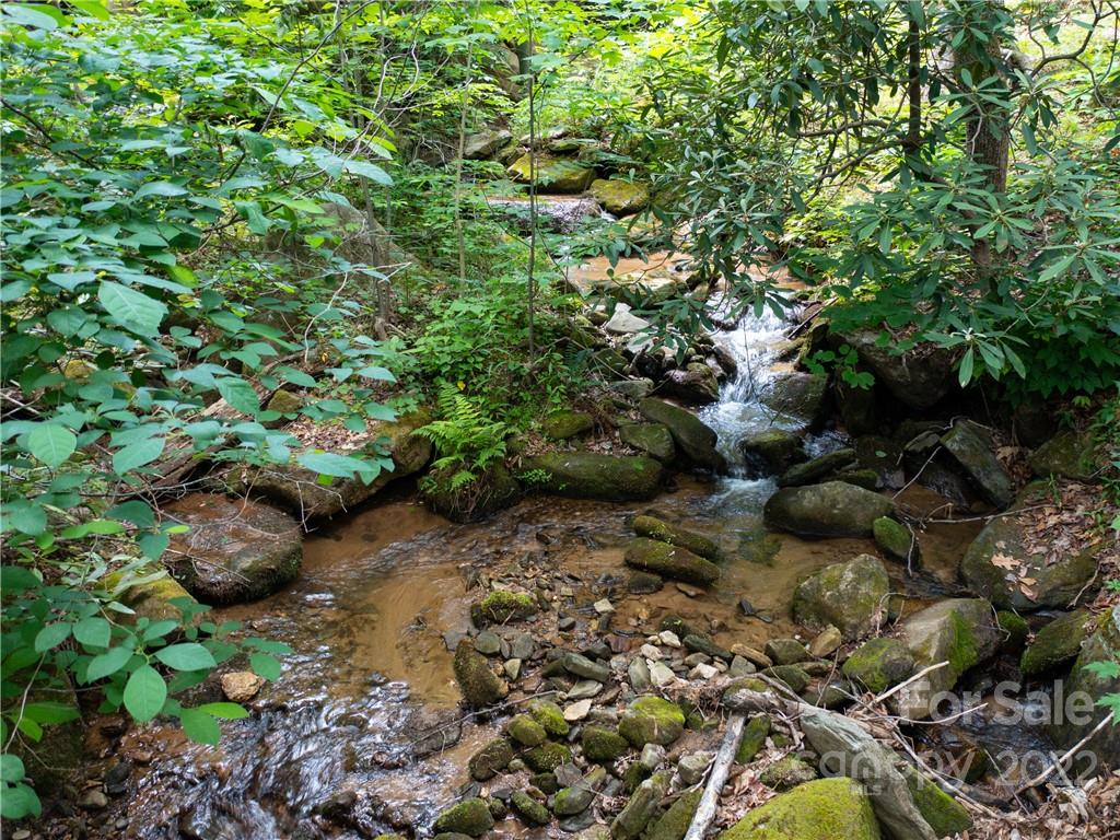 Lot 2072 Anthony Court Mill Spring NC 28756