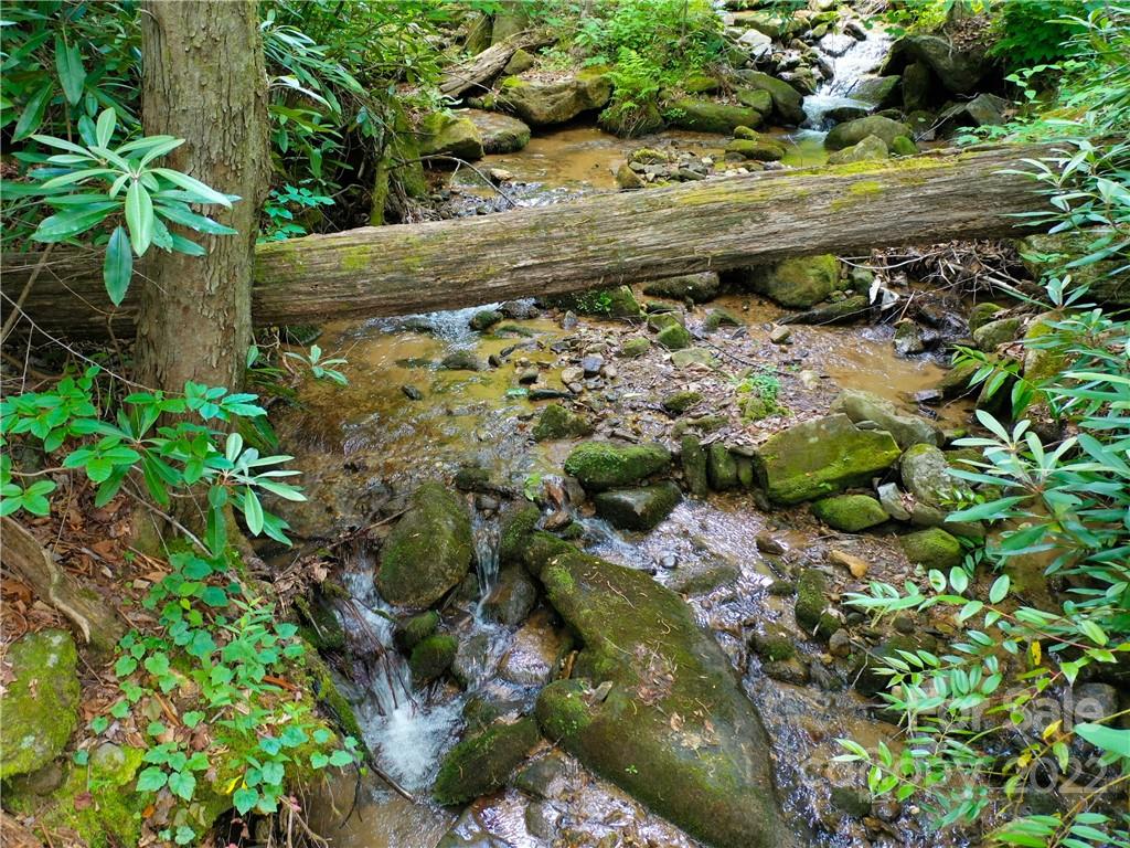Lot 2072 Anthony Court Mill Spring NC 28756