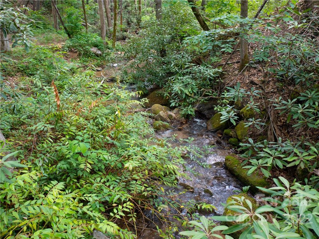Lot 2072 Anthony Court Mill Spring NC 28756