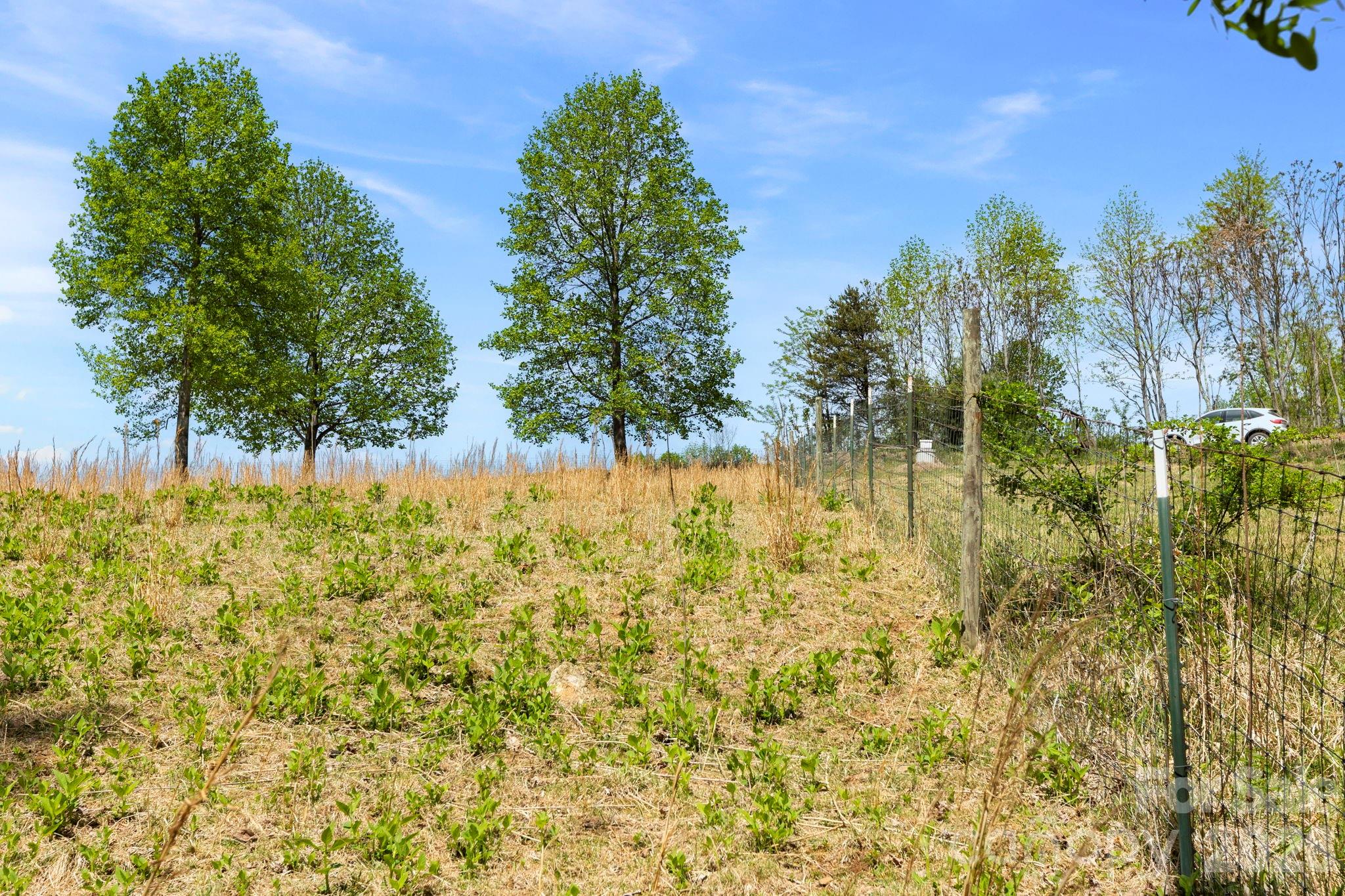 0 Simply Grateful Drive Hendersonville NC 28792