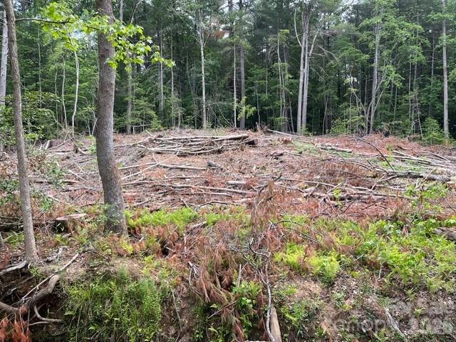 Tbd Fowler Road Granite Falls NC 28630