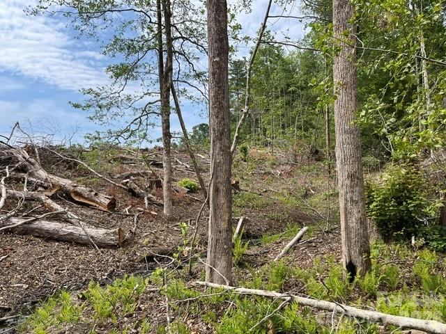 Tbd Fowler Road Granite Falls NC 28630