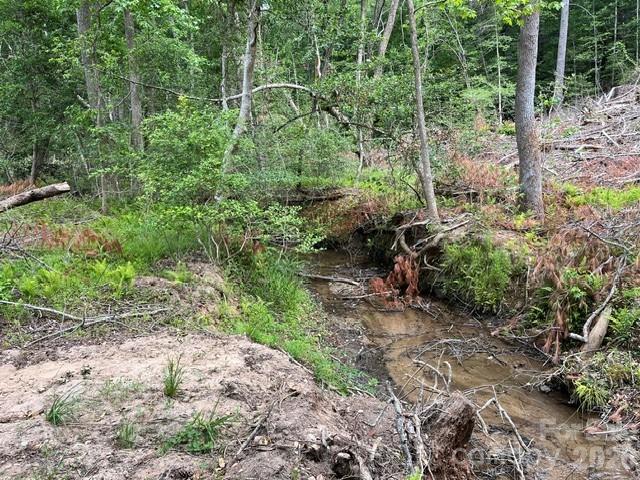 Tbd Fowler Road Granite Falls NC 28630