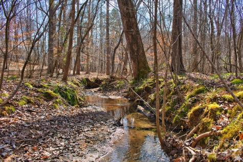 0 Woodstock Lane Rutherfordton NC 28139