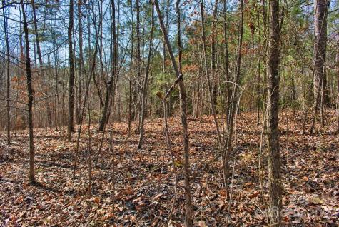 0 Woodstock Lane Rutherfordton NC 28139