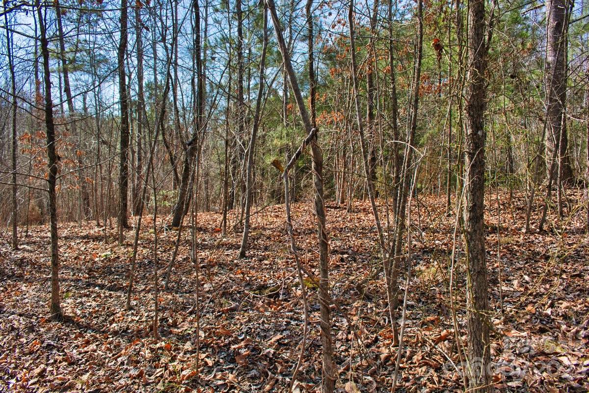 0 Woodstock Lane Rutherfordton NC 28139