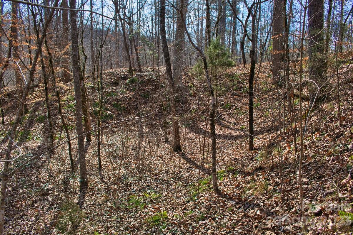 0 Woodstock Lane Rutherfordton NC 28139
