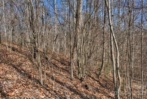 0 Woodstock Lane Rutherfordton NC 28139