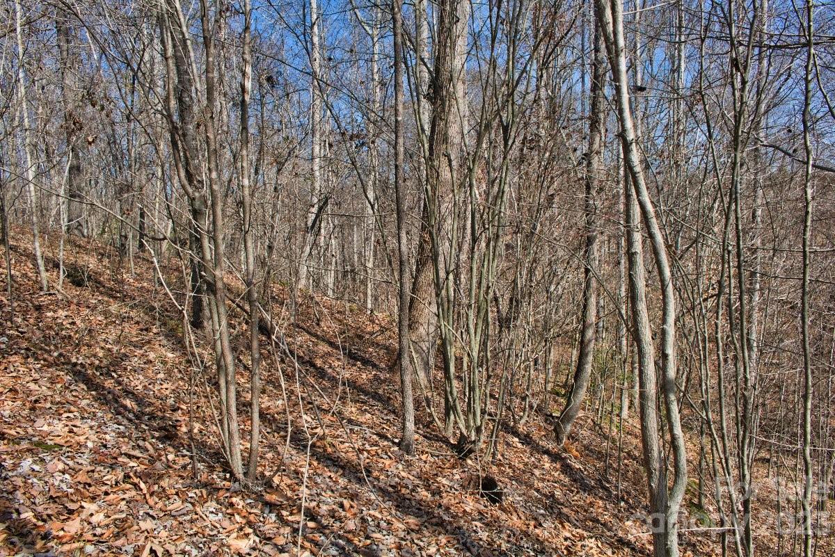 0 Woodstock Lane Rutherfordton NC 28139