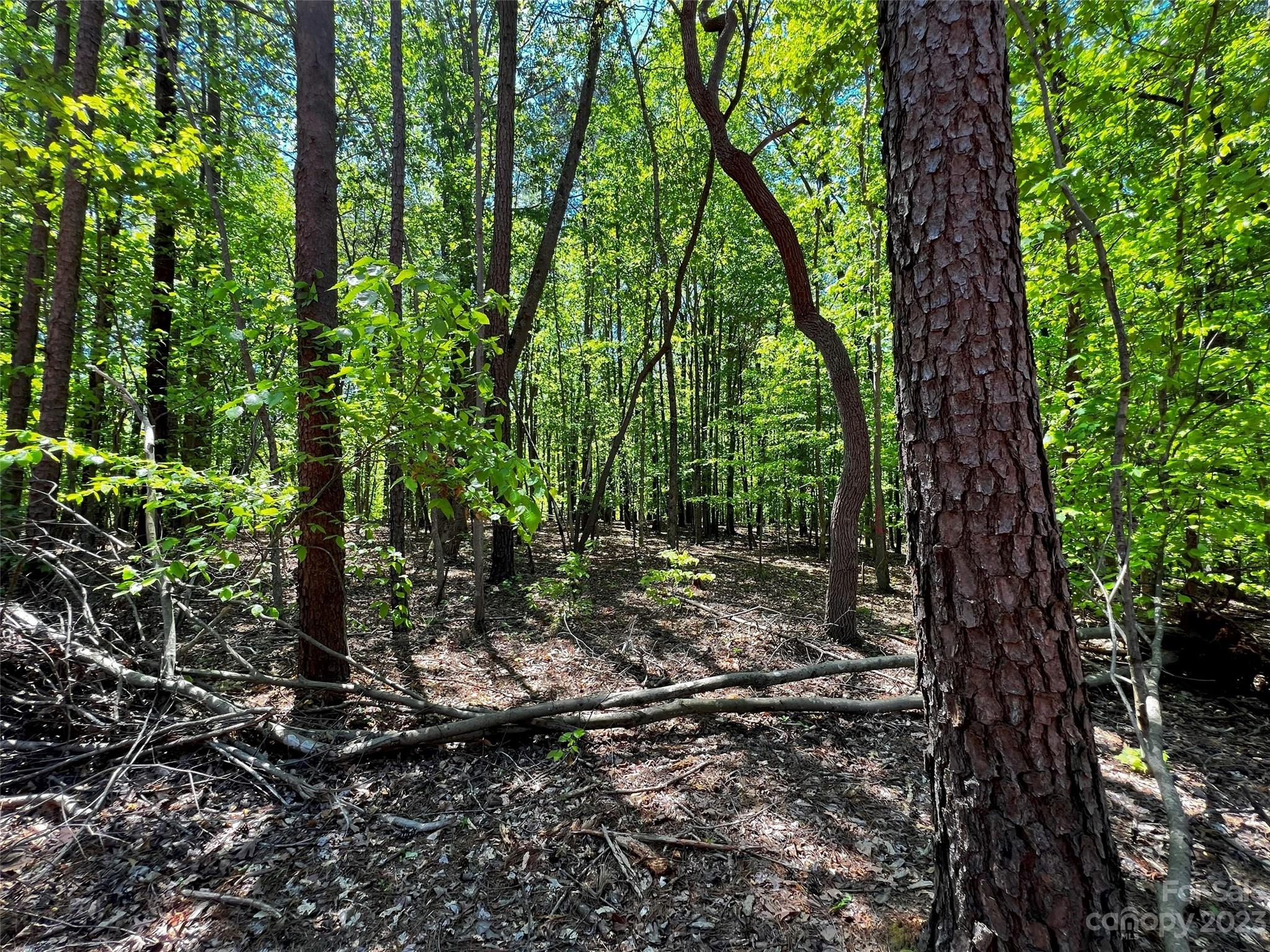 138 Copper Pine Lane Davidson NC 28036