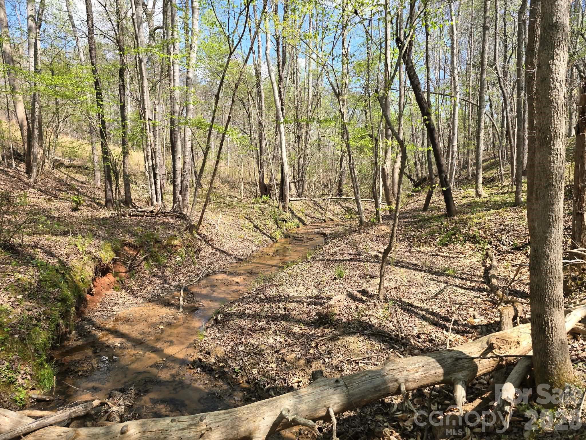 Lot 26 Grandview Drive Rutherfordton NC 28139