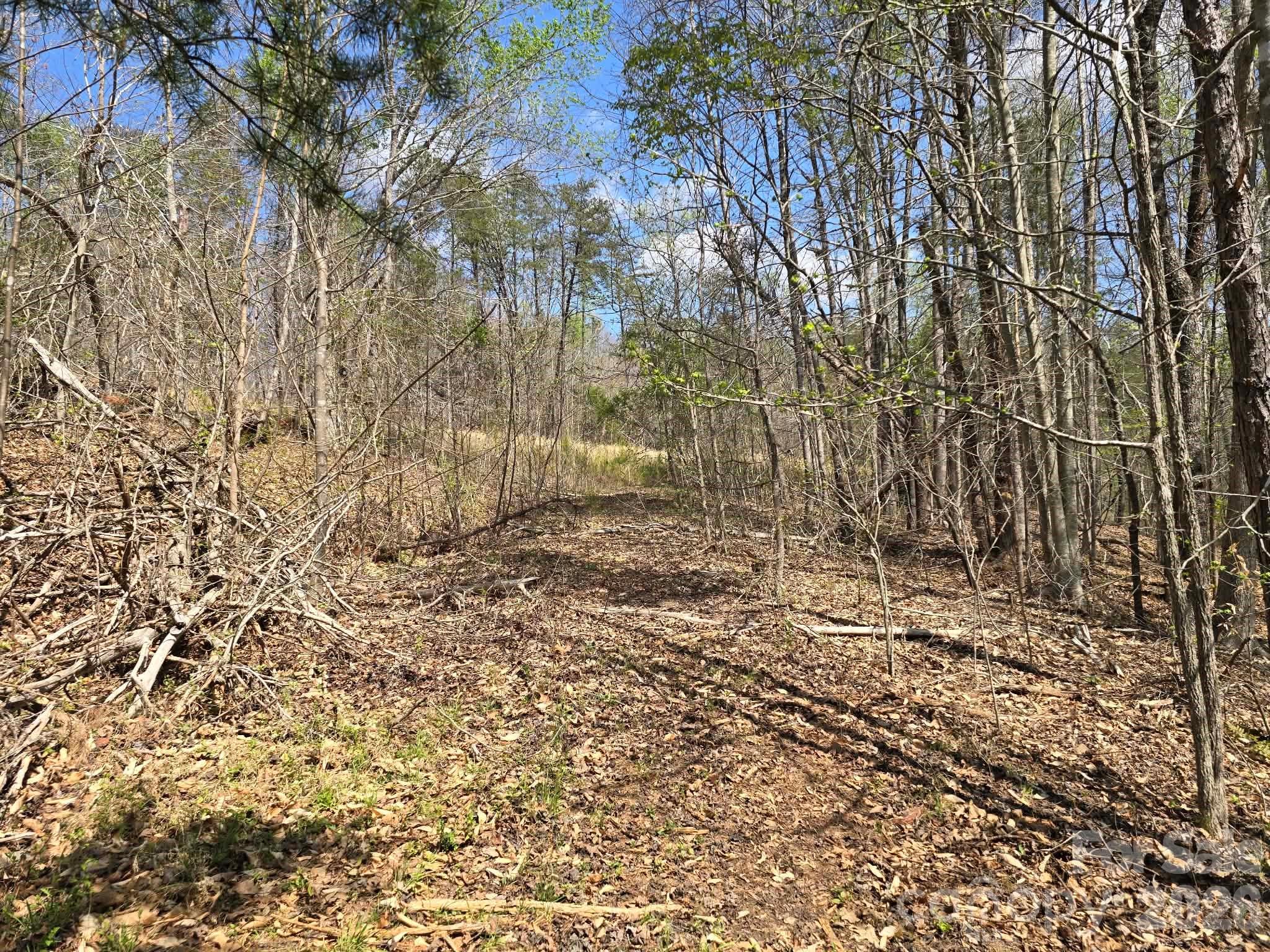 Lot 26 Grandview Drive Rutherfordton NC 28139