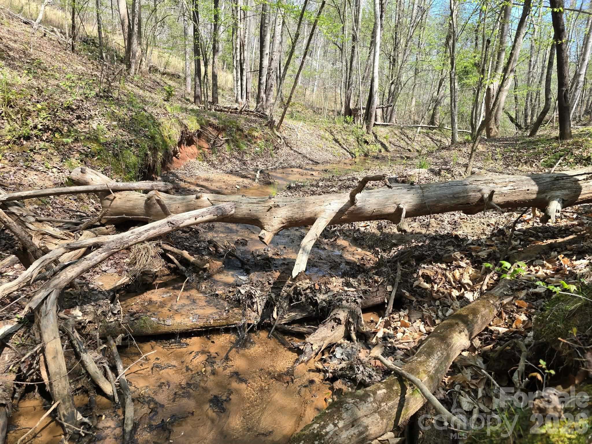 Lot 26 Grandview Drive Rutherfordton NC 28139