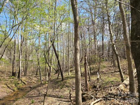 Lot 26 Grandview Drive Rutherfordton NC 28139