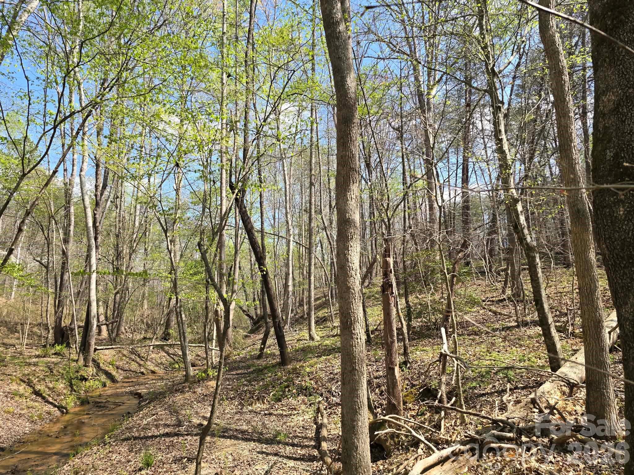 Lot 26 Grandview Drive Rutherfordton NC 28139