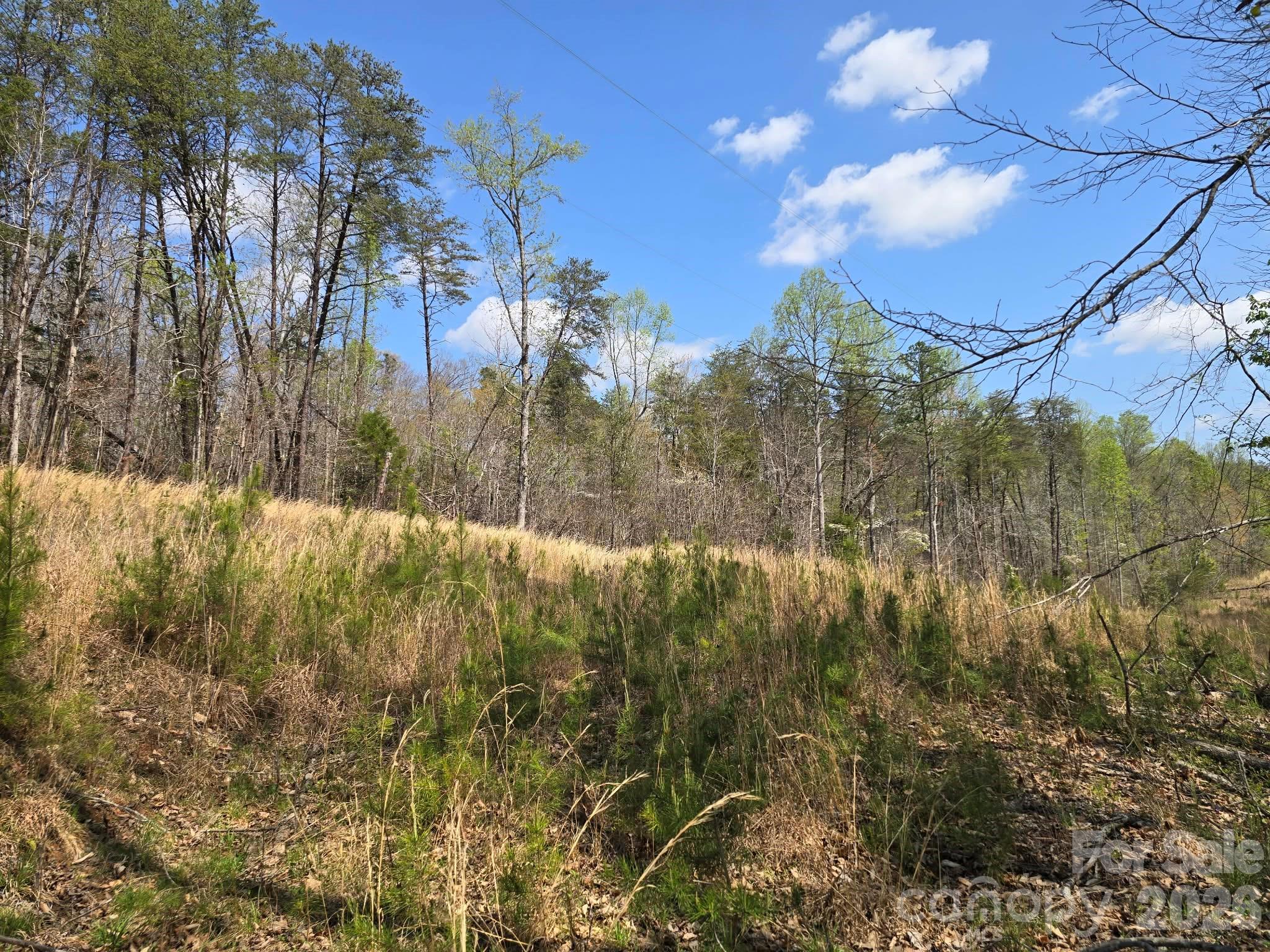 Lot 26 Grandview Drive Rutherfordton NC 28139