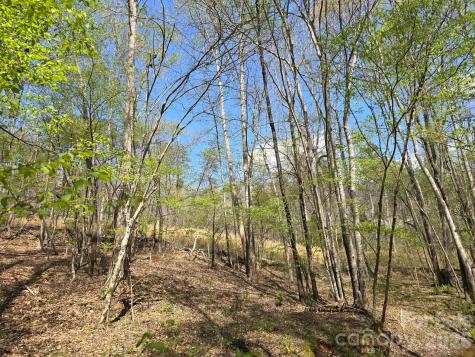 Lot 26 Grandview Drive Rutherfordton NC 28139